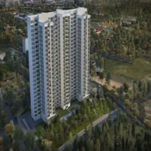 prestige forest edge